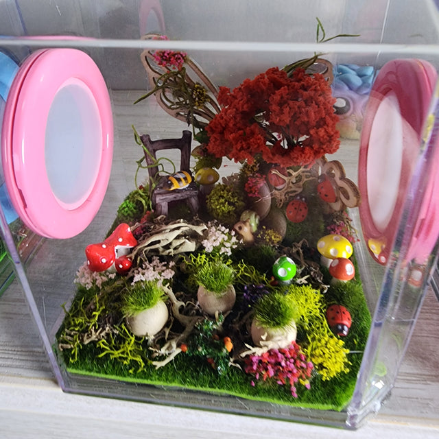 Den Flat Top 4x4x4 Jumping Spider Enclosure (holds fruit flies)