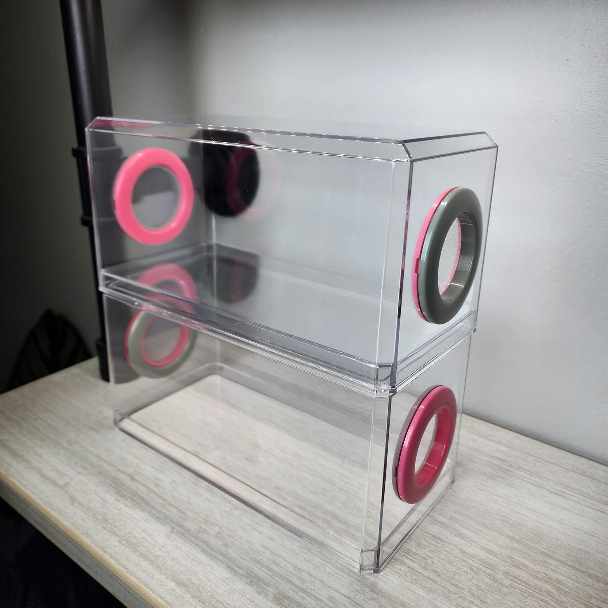 Phid Flat Sling Nursery Jumping Spider Enclosure 8.5x4x4(holds fruit flies)