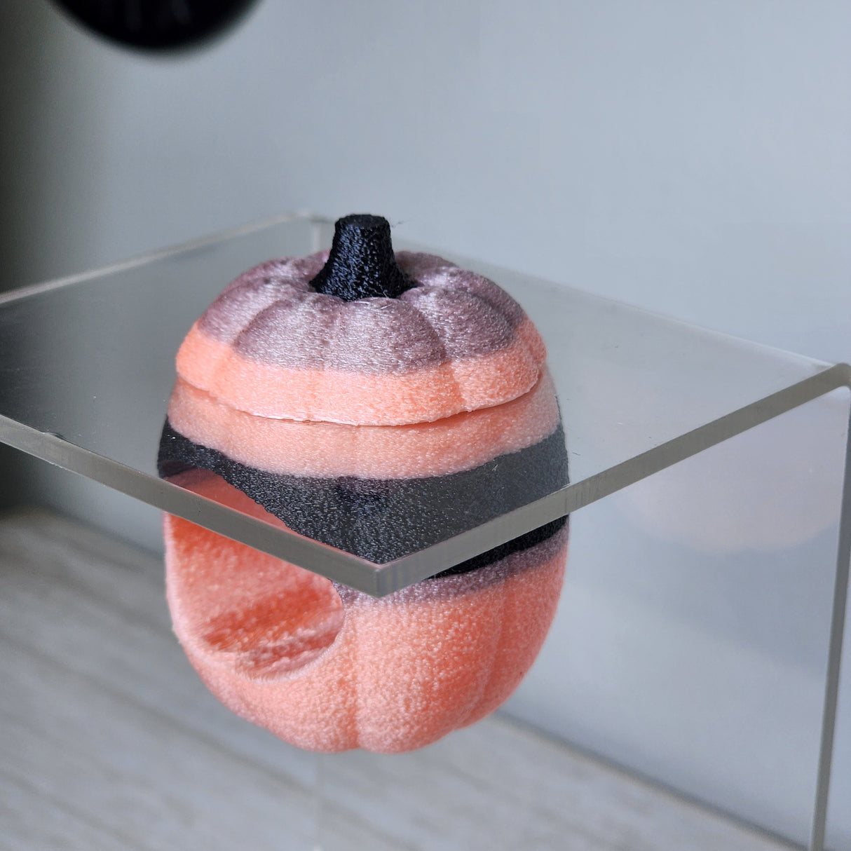 Screaming Pumpkin nesting hides for Jumping Spiders