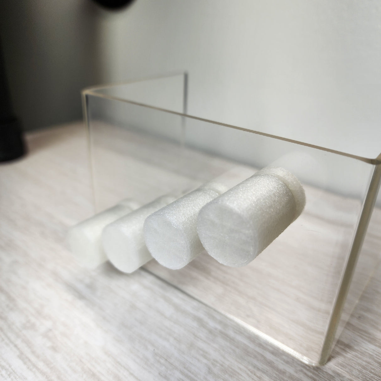 Magnetic Spoody Perch for Jumping Spiders 1 and 4 CT