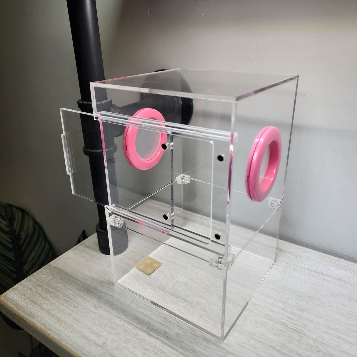 Large Flat Top Magnetic 5x5x8 Front Opening Jumping Spider Enclosure