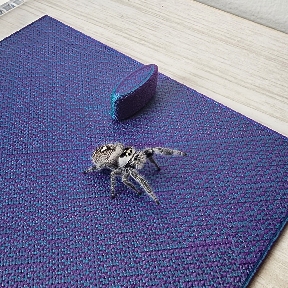 Removable floor insert for the 4x4x8 Magnetic Flat Top