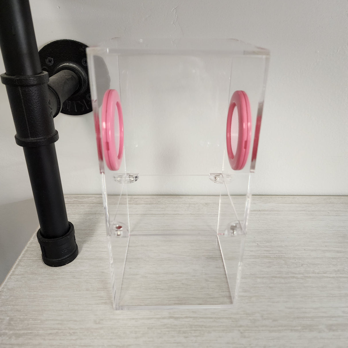 Medium Flat Top Magnetic 4x4x8 Jumping Spider Enclosure (holds fruit flies)