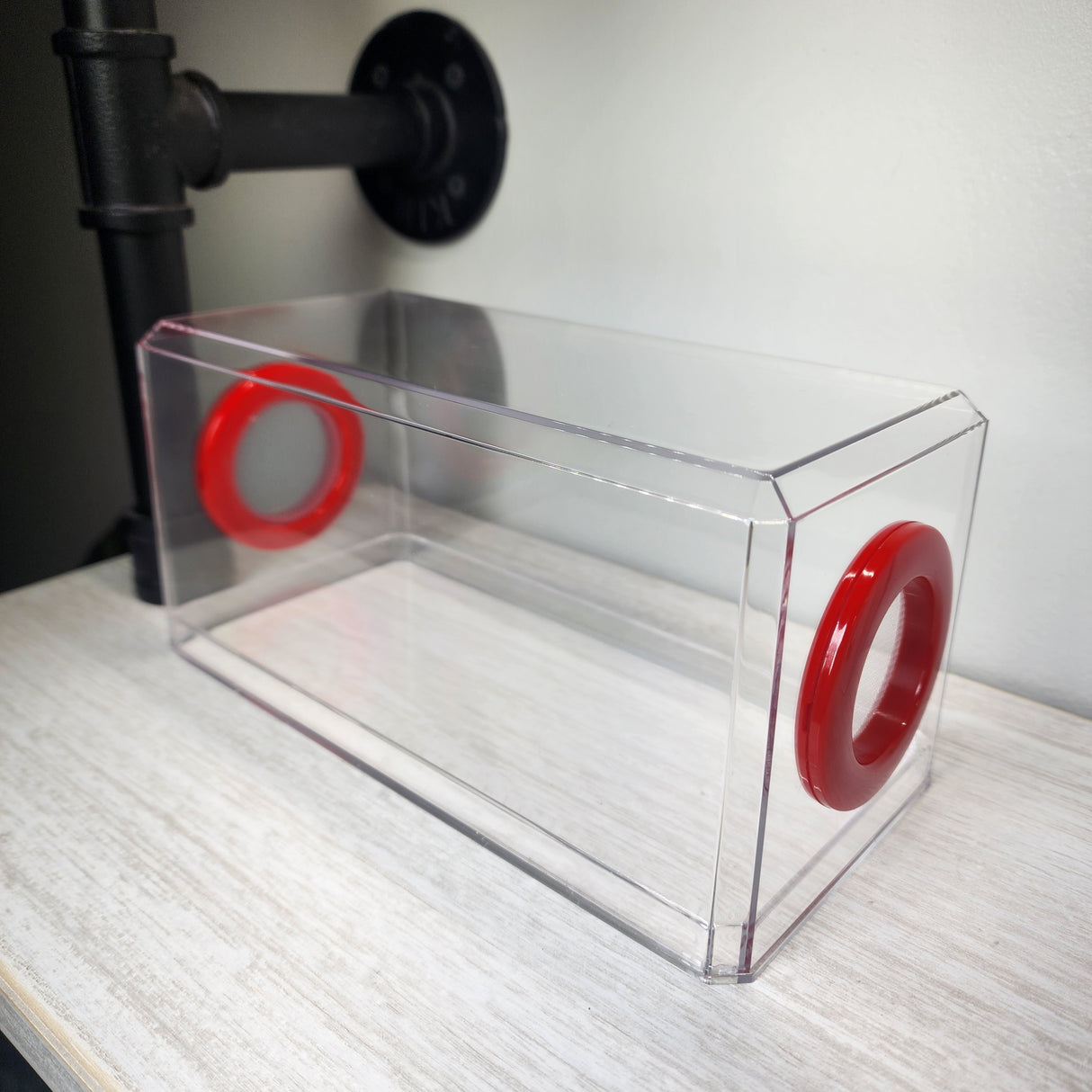 Phid Flat Sling Nursery Jumping Spider Enclosure 8.5x4x4(holds fruit flies)