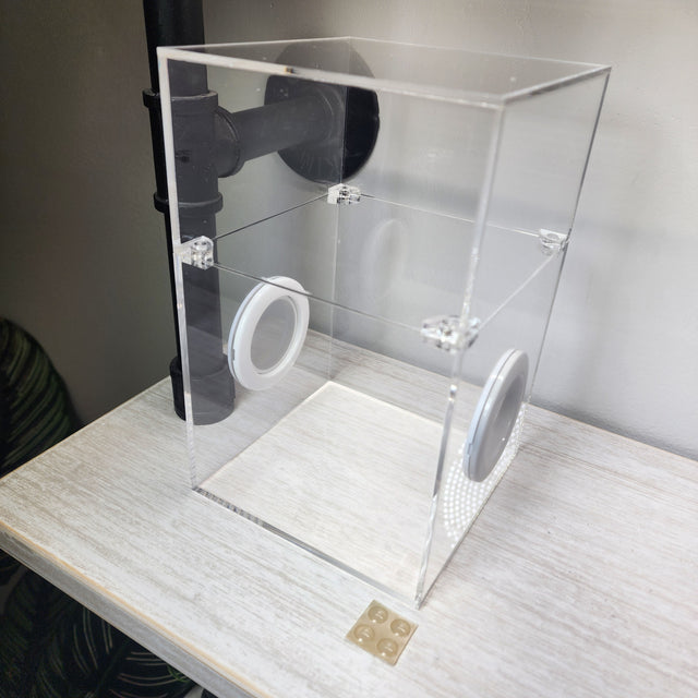 Large Flat Top Magnetic 5x5x8 Jumping Spider Enclosure (holds fruit flies)