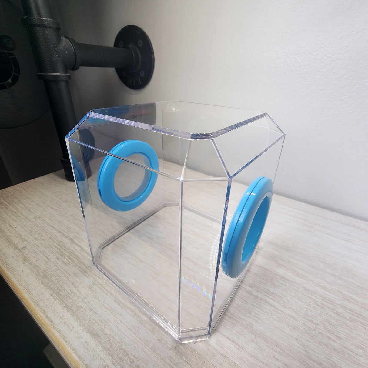 Den Flat Top 4x4x4 Jumping Spider Enclosure (holds fruit flies)