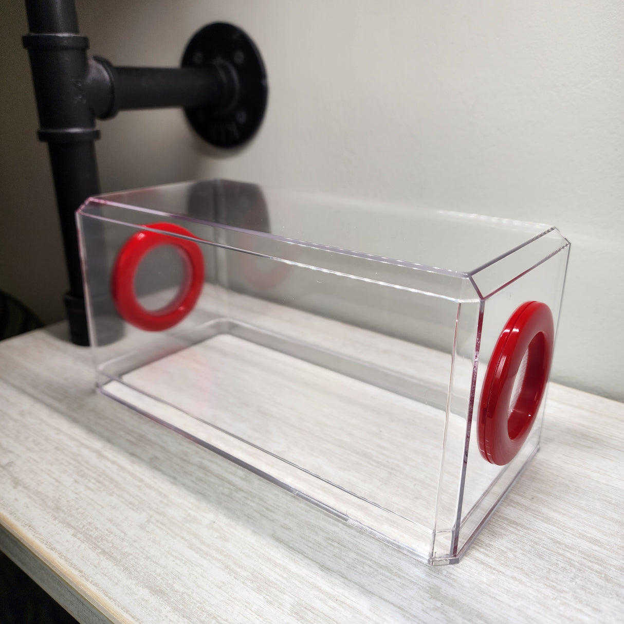 Phid Flat Sling Nursery Jumping Spider Enclosure 8.5x4x4(holds fruit flies)