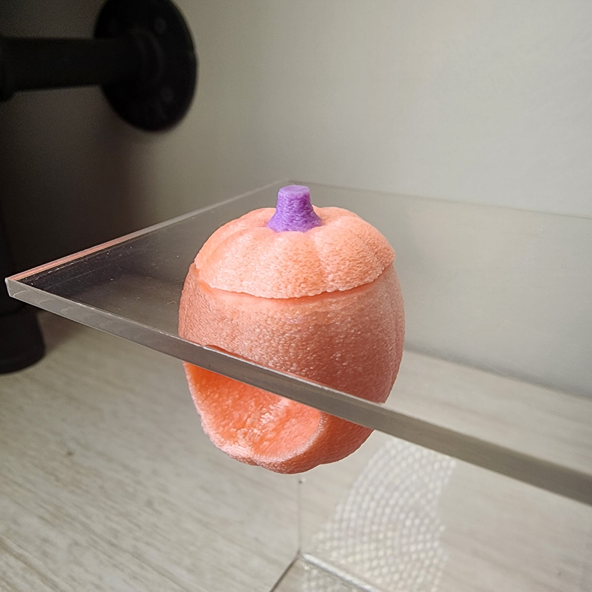 Baby Pumpkin Nesting Hides for Jumping Spiders