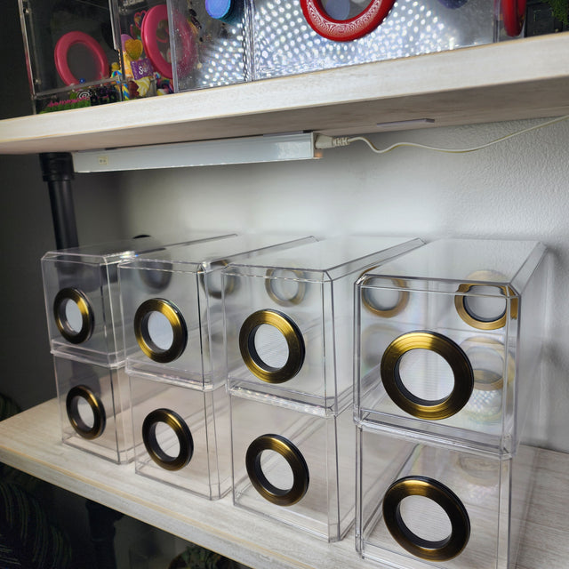 BFP Stinger Stackable Jumping Spider Sling Nursery(holds fruit flies.