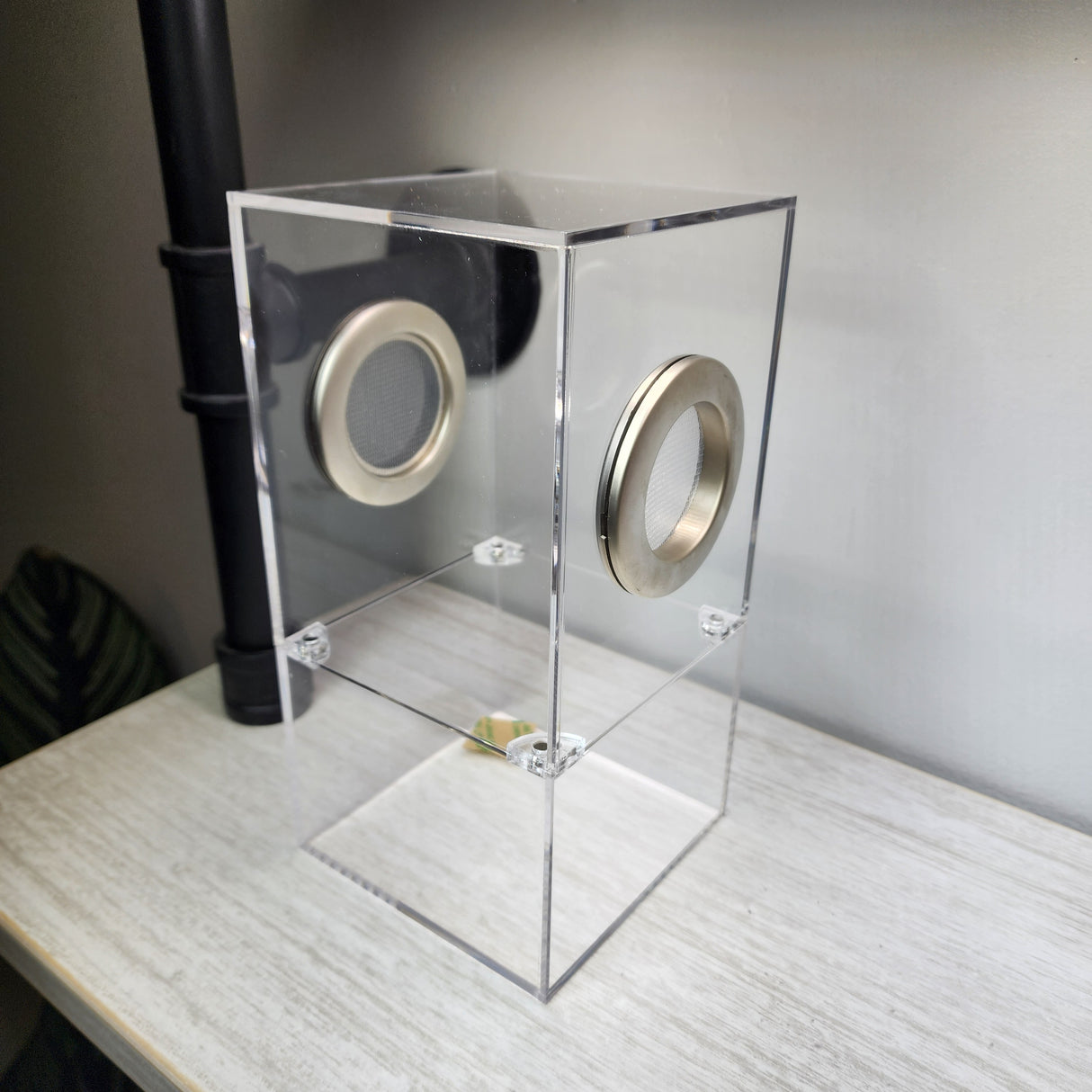 Medium Flat Top Magnetic 4x4x8 Jumping Spider Enclosure (holds fruit flies)