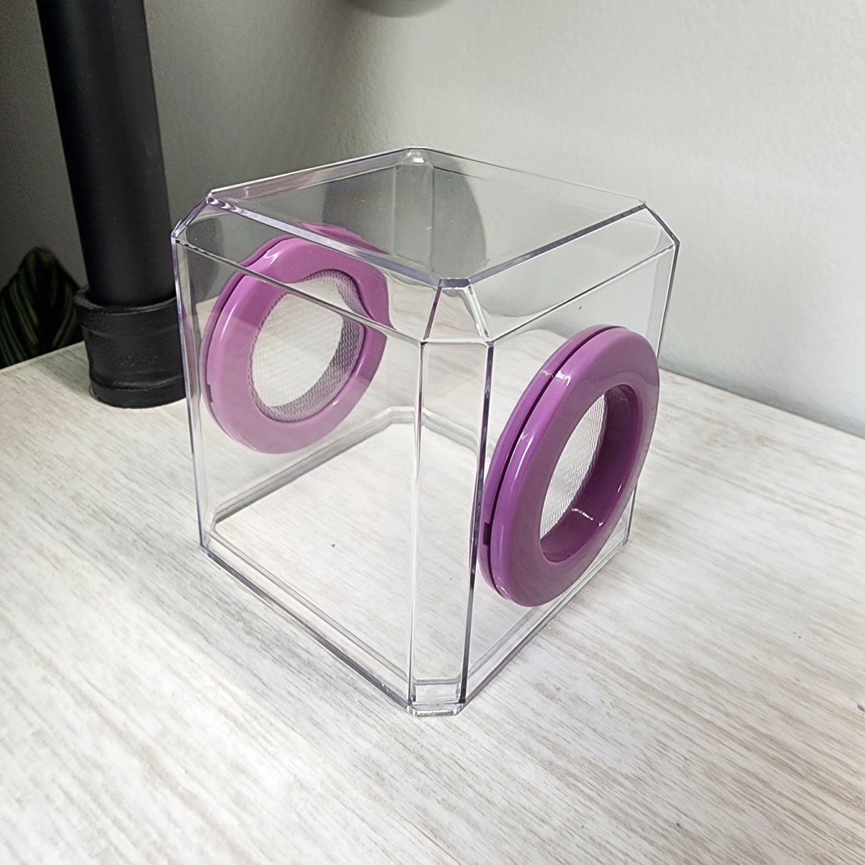 Mini Den Flat Top 3x3x3 Jumping Spider Enclosure (holds fruit flies)