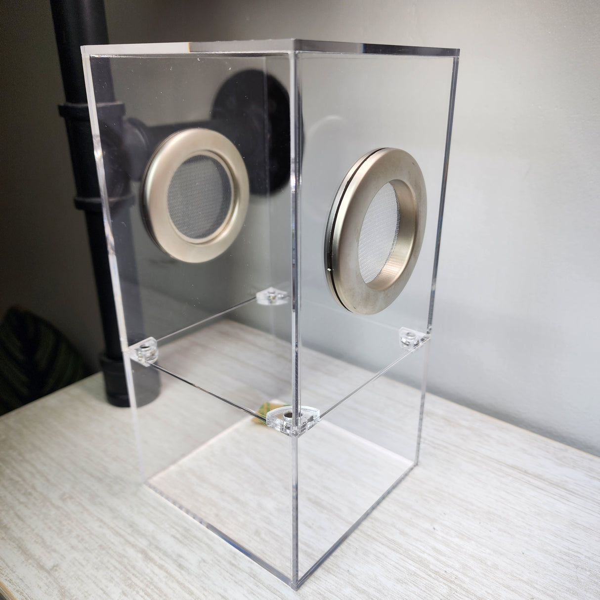 Medium Flat Top Magnetic 4x4x8 Jumping Spider Enclosure (holds fruit flies)