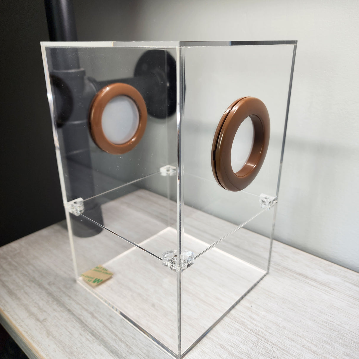 Large Flat Top Magnetic 5x5x8 Jumping Spider Enclosure (holds fruit flies)