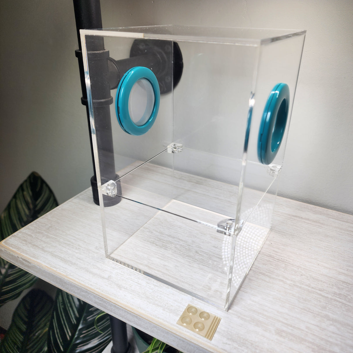 Large Flat Top Magnetic 5x5x8 Jumping Spider Enclosure (holds fruit flies)