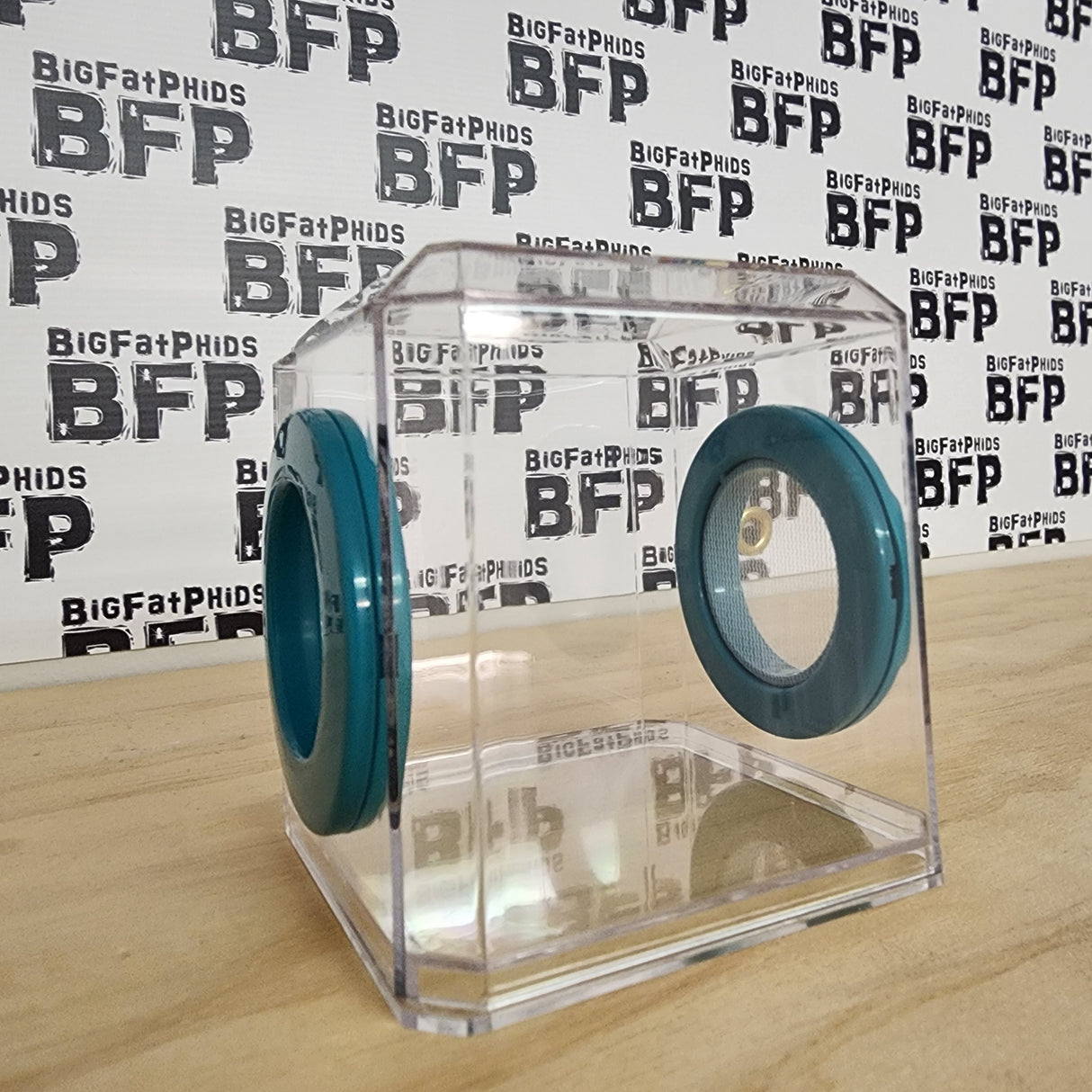 Mini Den Flat Top 3x3x3 Jumping Spider Enclosure (holds fruit flies)