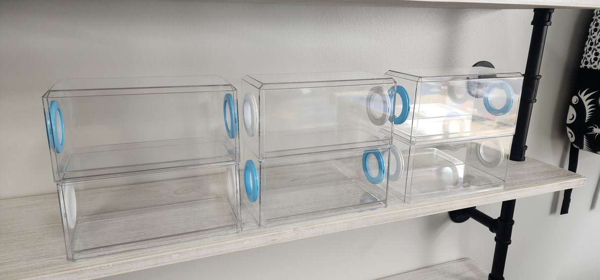 Phid Flat Sling Nursery Jumping Spider Enclosure 8.5x4x4(holds fruit flies)