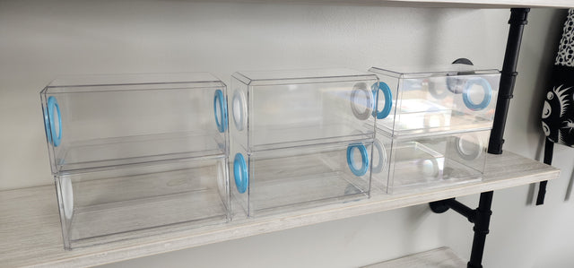 Phid Flat Sling Nursery Jumping Spider Enclosure 8.5x4x4(holds fruit flies)