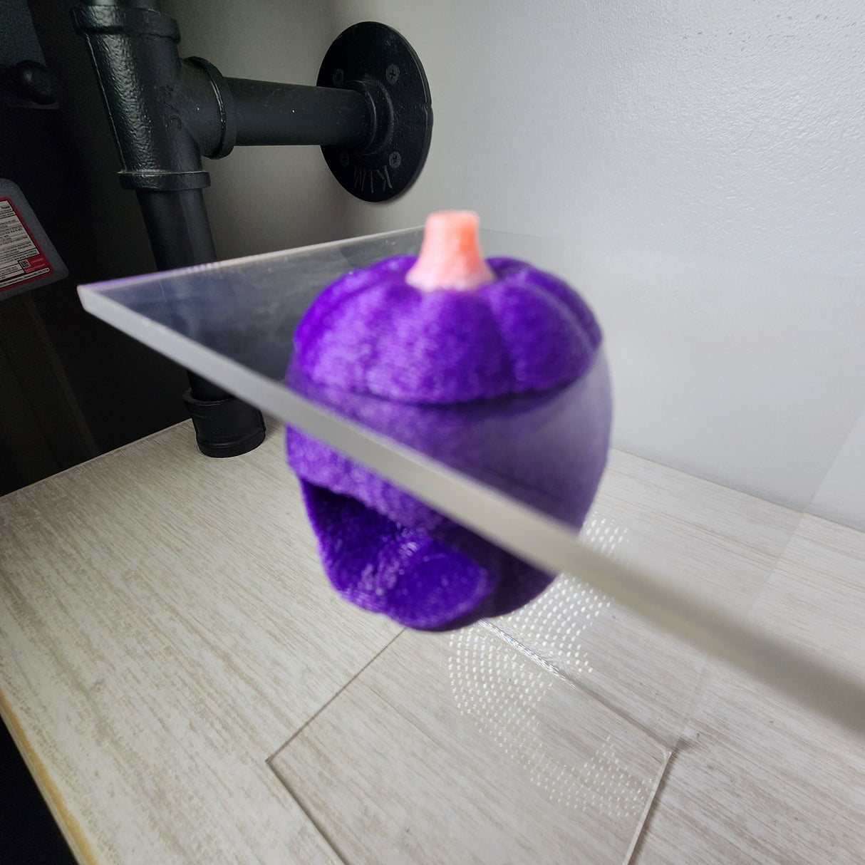 Baby Pumpkin Nesting Hides for Jumping Spiders