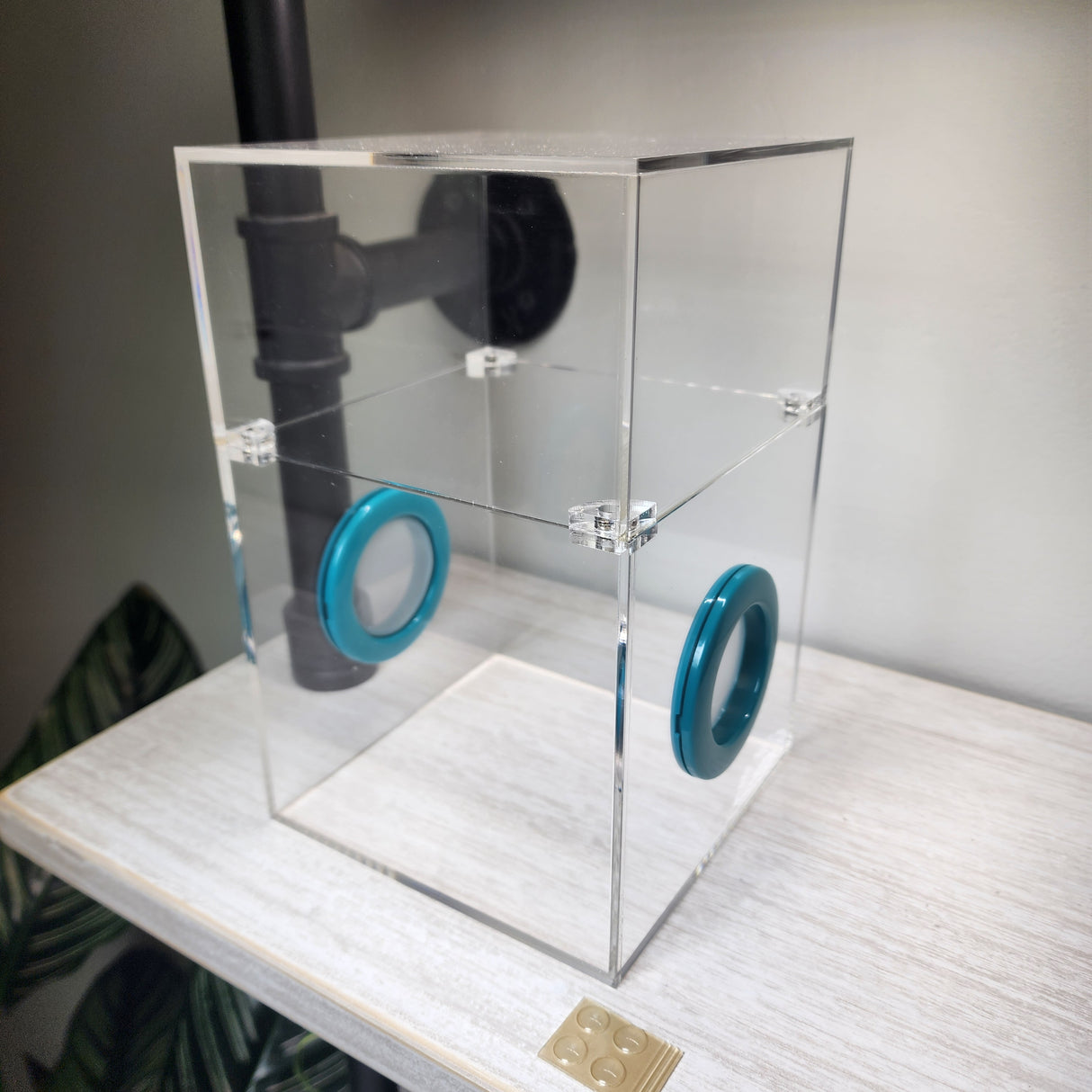 Large Flat Top Magnetic 5x5x8 Jumping Spider Enclosure (holds fruit flies)