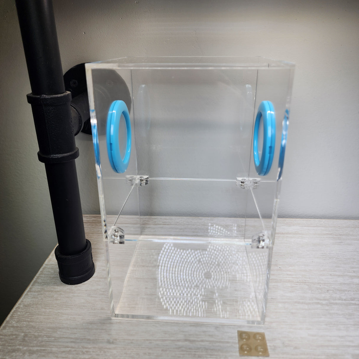 Large Flat Top Magnetic 5x5x8 Jumping Spider Enclosure (holds fruit flies)