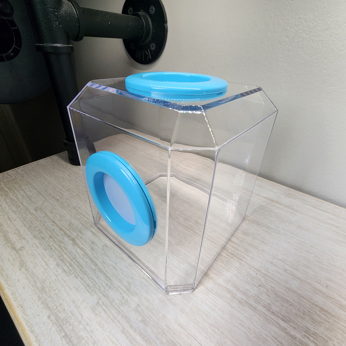 Den Dual Vent 4x4x4 Jumping Spider Enclosure(holds fruit flies)