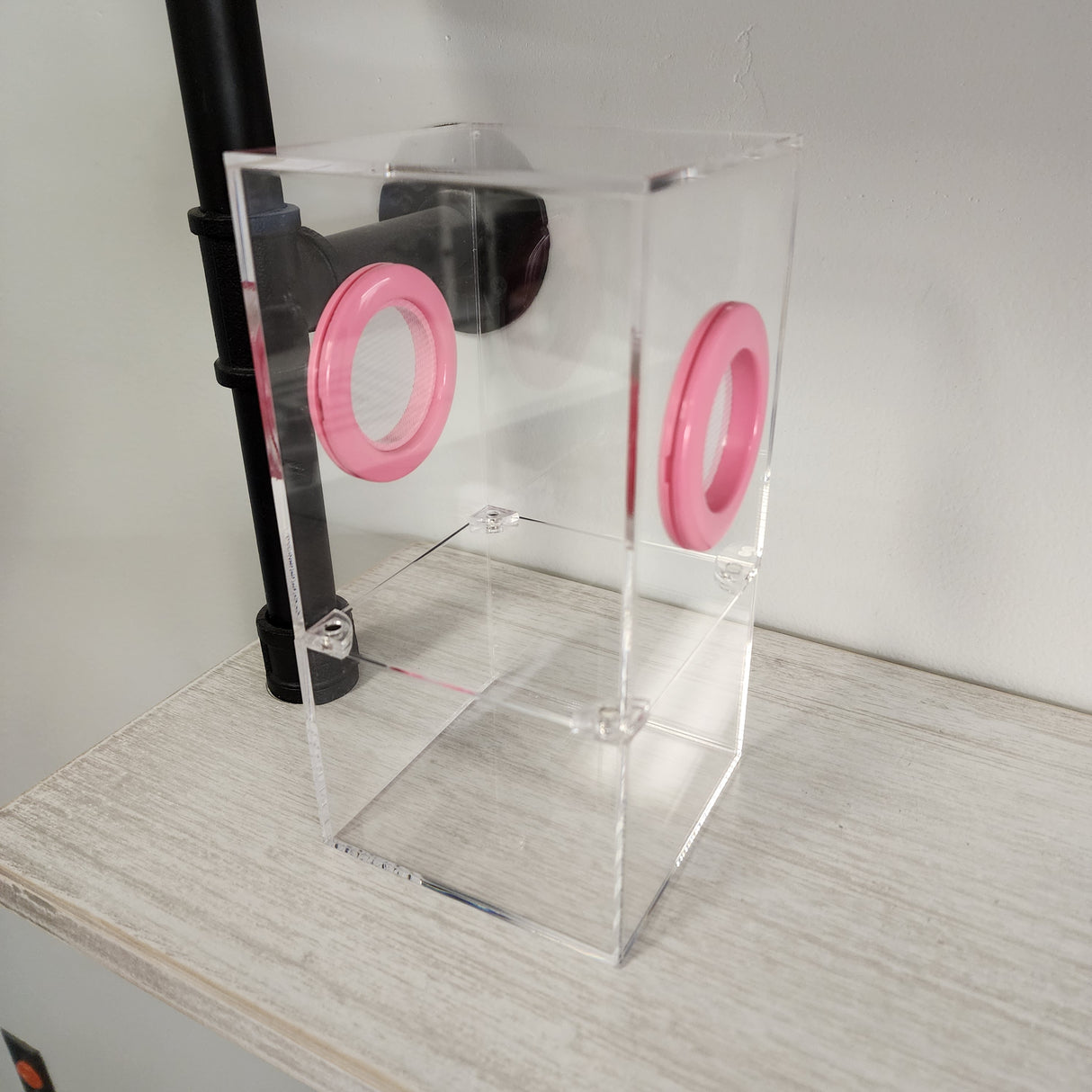 Medium Flat Top Magnetic 4x4x8 Jumping Spider Enclosure (holds fruit flies)