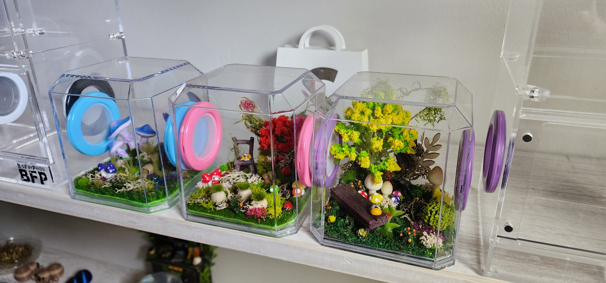 Den Flat Top 4x4x4 Jumping Spider Enclosure (holds fruit flies)