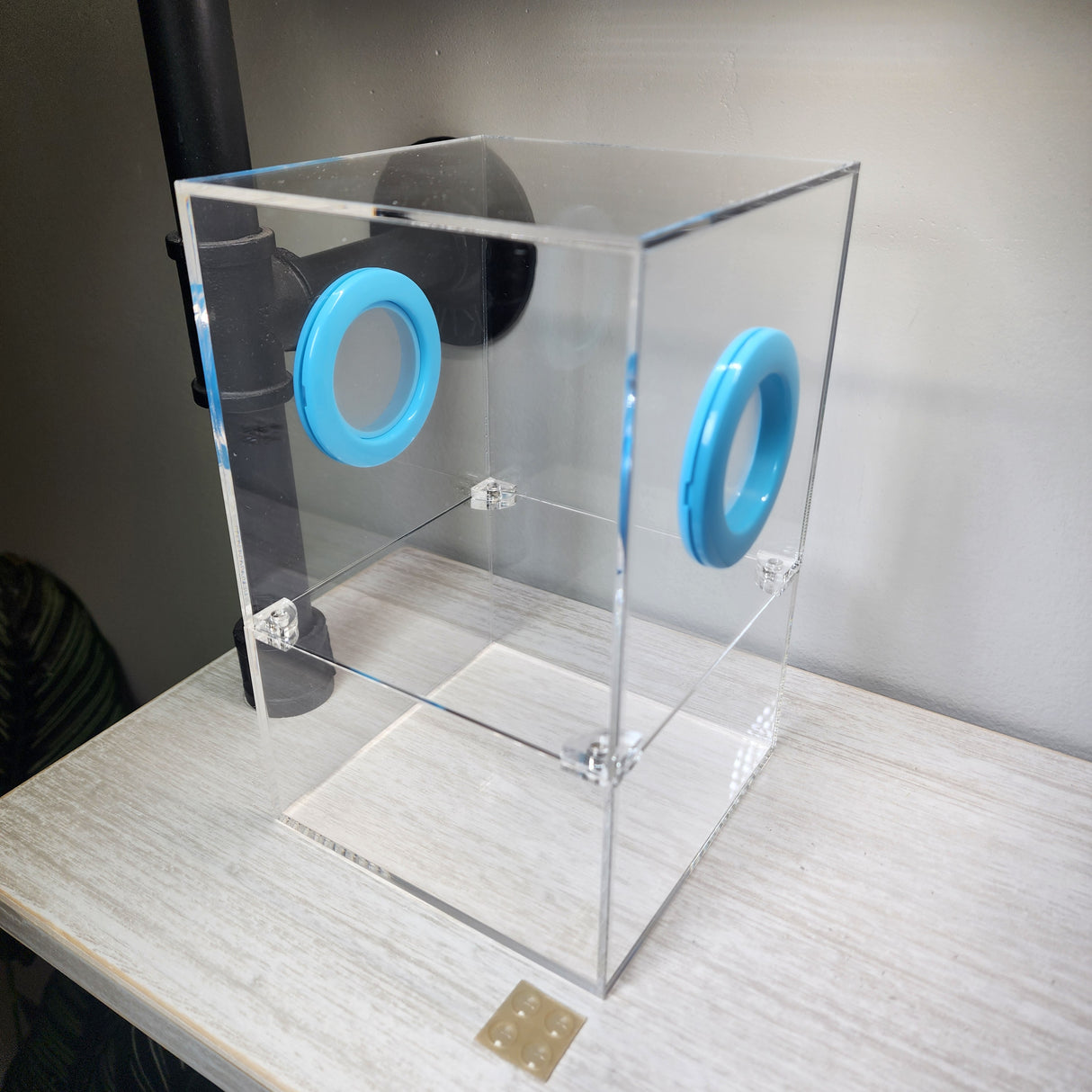 Large Flat Top Magnetic 5x5x8 Jumping Spider Enclosure (holds fruit flies)