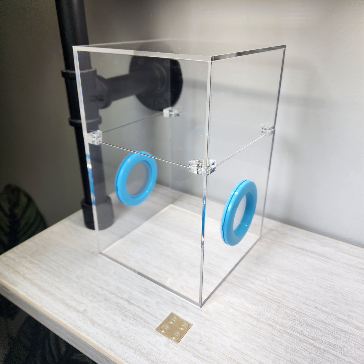 Large Flat Top Magnetic 5x5x8 Jumping Spider Enclosure (holds fruit flies)