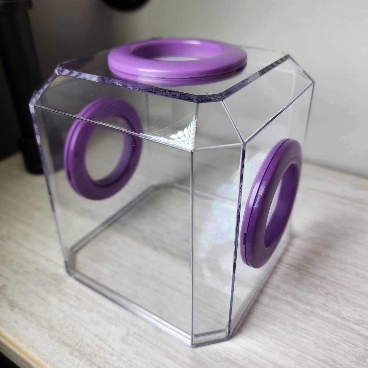 Den Tri Vent 4x4x4 Jumping Spider Enclosure (holds fruit flies)