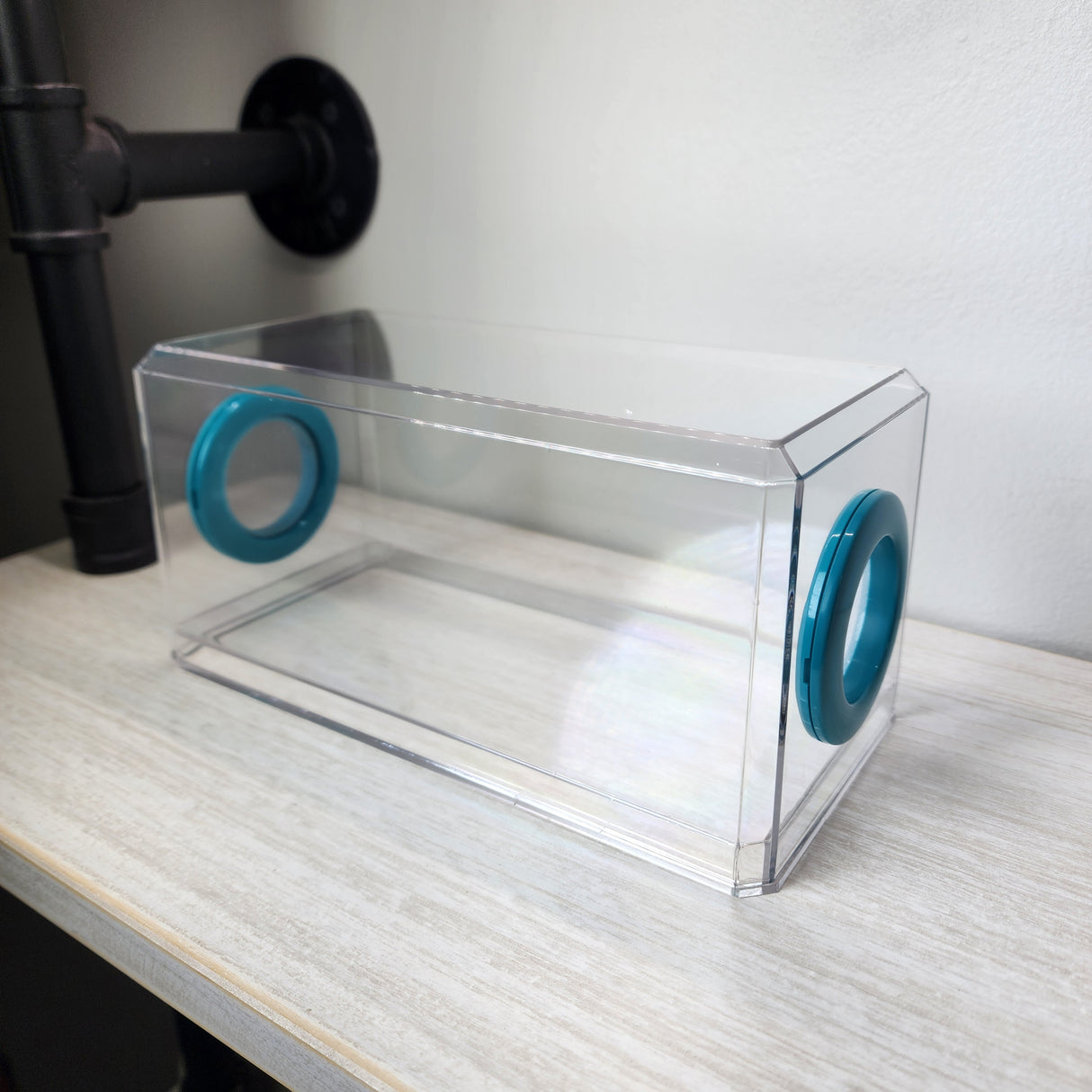 Phid Flat Sling Nursery Jumping Spider Enclosure 8.5x4x4(holds fruit flies)