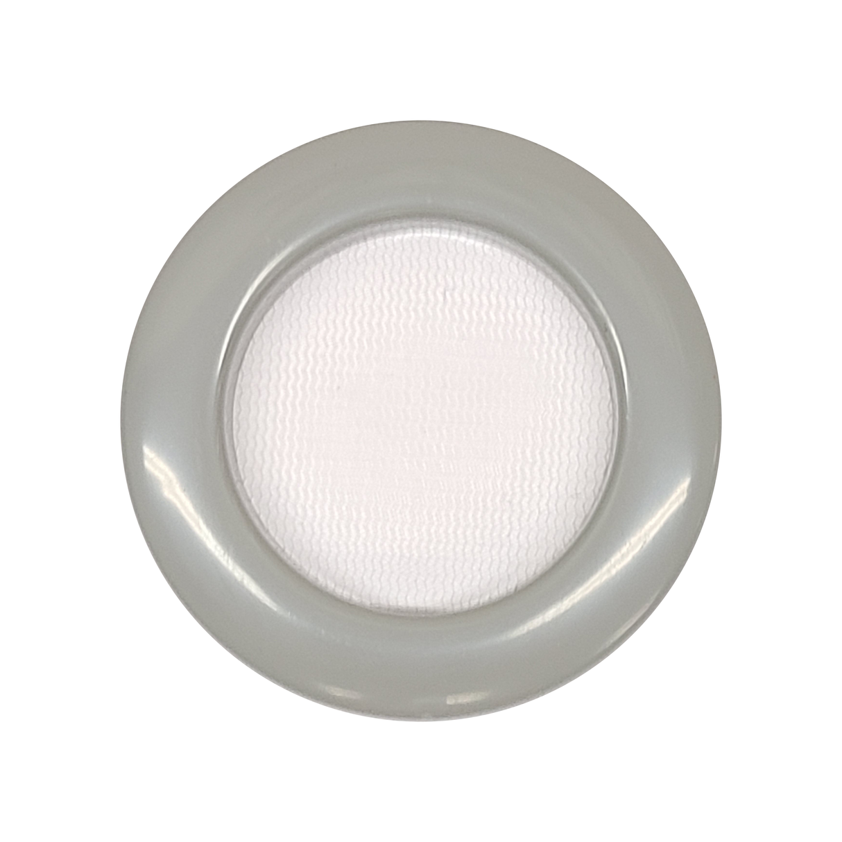 Phid Flat Sling Nursery Jumping Spider Enclosure 8.5x4x4(holds fruit flies)