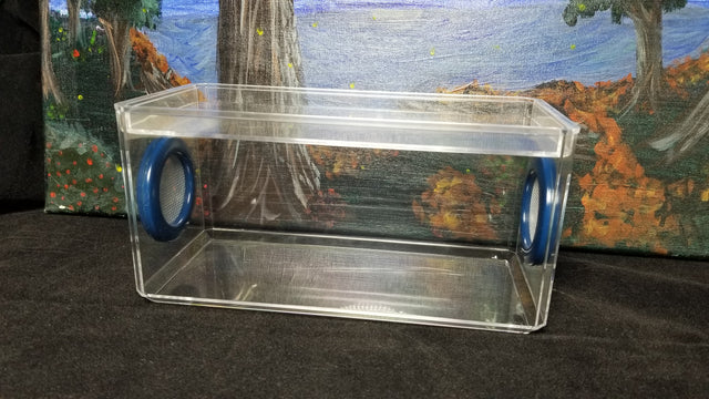 Phid Flat Sling Nursery Jumping Spider Enclosure 8.5x4x4(holds fruit flies)