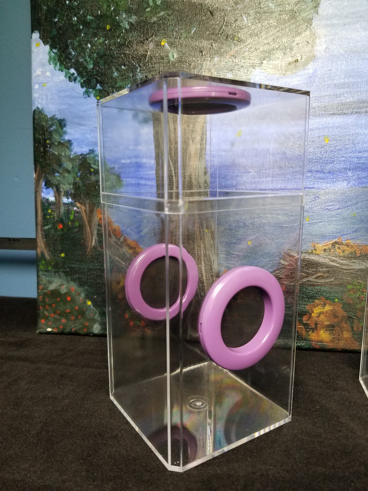 B-STOCK Classic Tri-Vent Spider Condo Jumping Spider Enclosure (holds fruit flies)