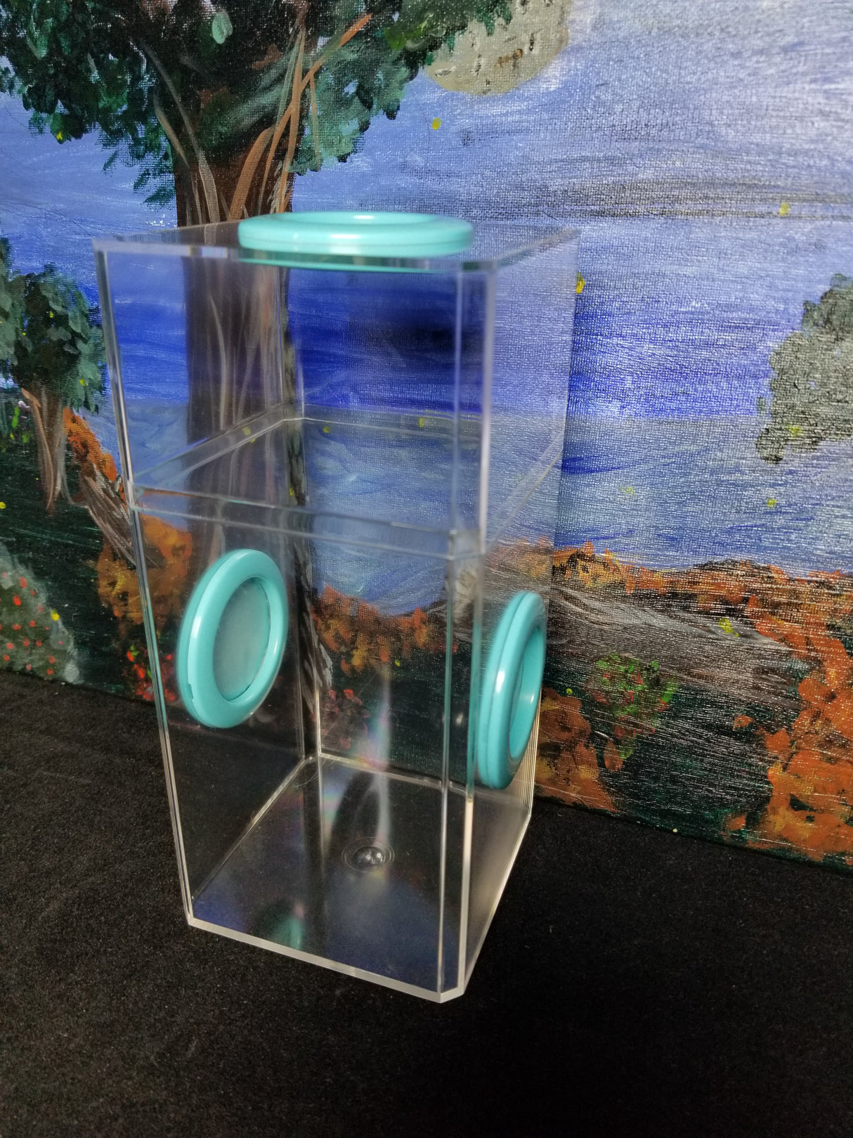 B-STOCK Classic Tri-Vent Spider Condo Jumping Spider Enclosure (holds fruit flies)