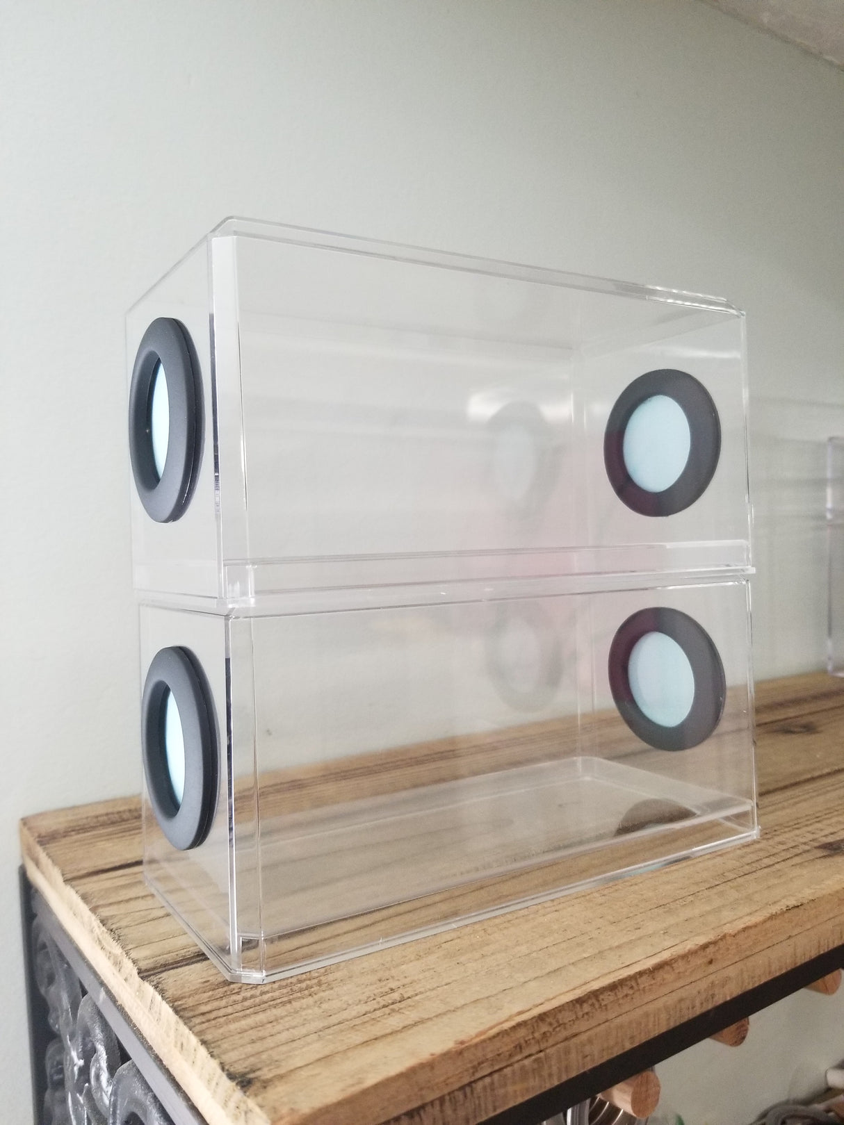 Phid Flat Sling Nursery Jumping Spider Enclosure 8.5x4x4(holds fruit flies)