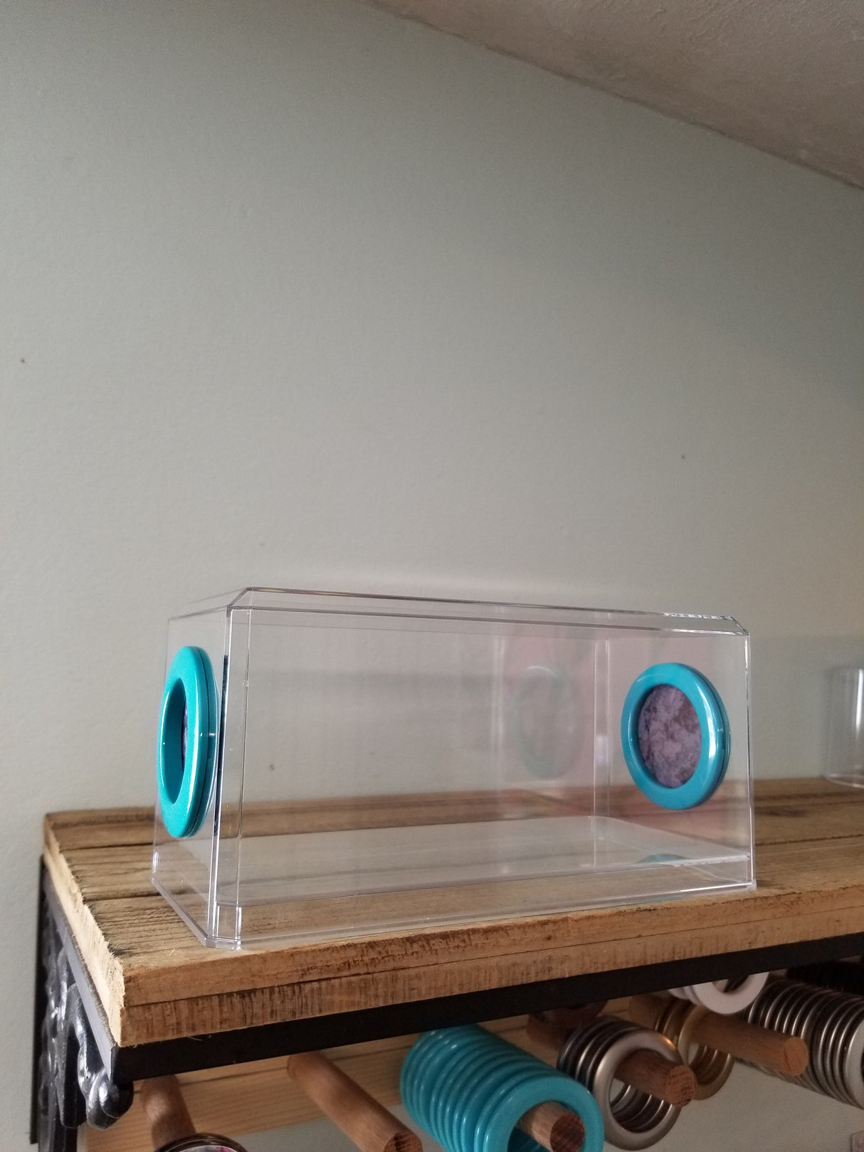 Phid Flat Sling Nursery Jumping Spider Enclosure 8.5x4x4(holds fruit flies)