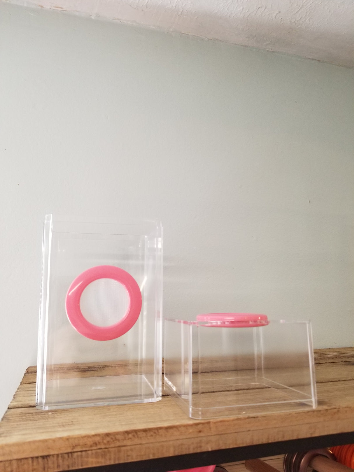 B-STOCK Classic Dual Vent Spider Condo Jumping Spider Enclosure (holds Fruitflies)