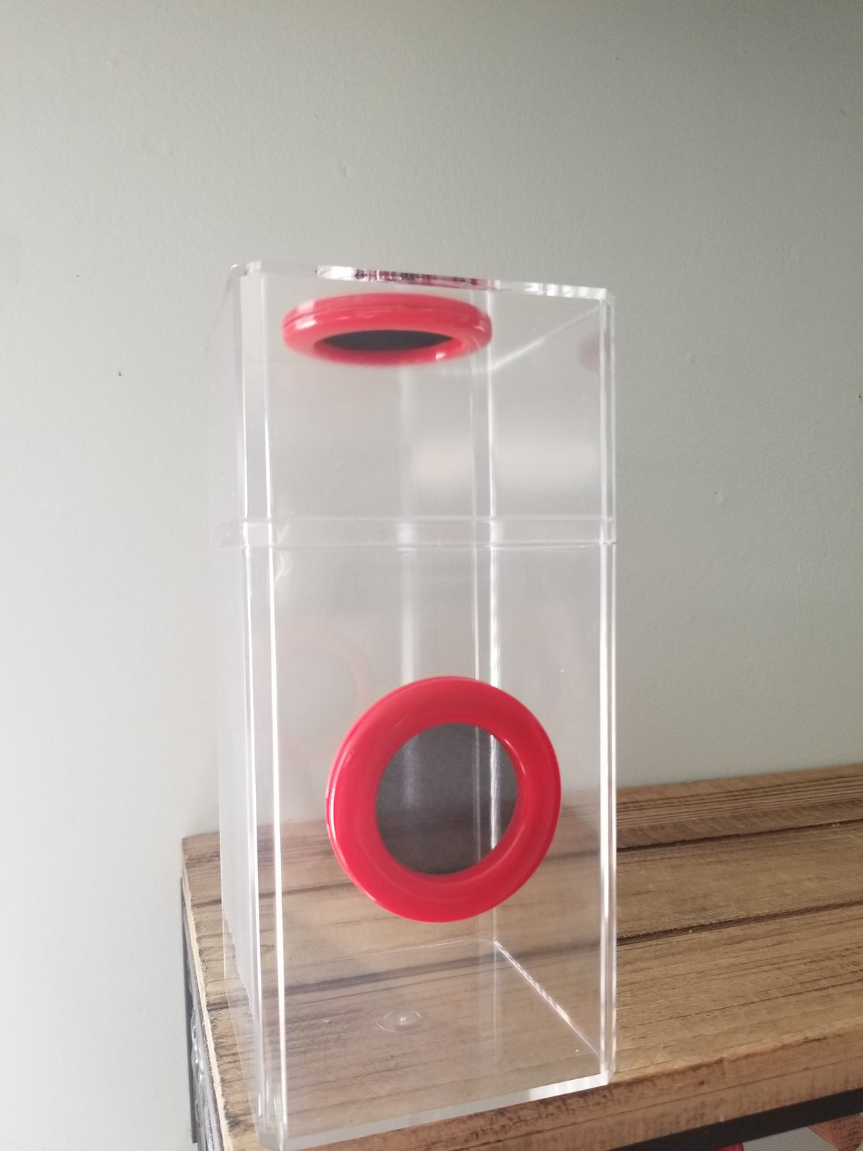 B-STOCK Classic Dual Vent Spider Condo Jumping Spider Enclosure (holds Fruitflies)