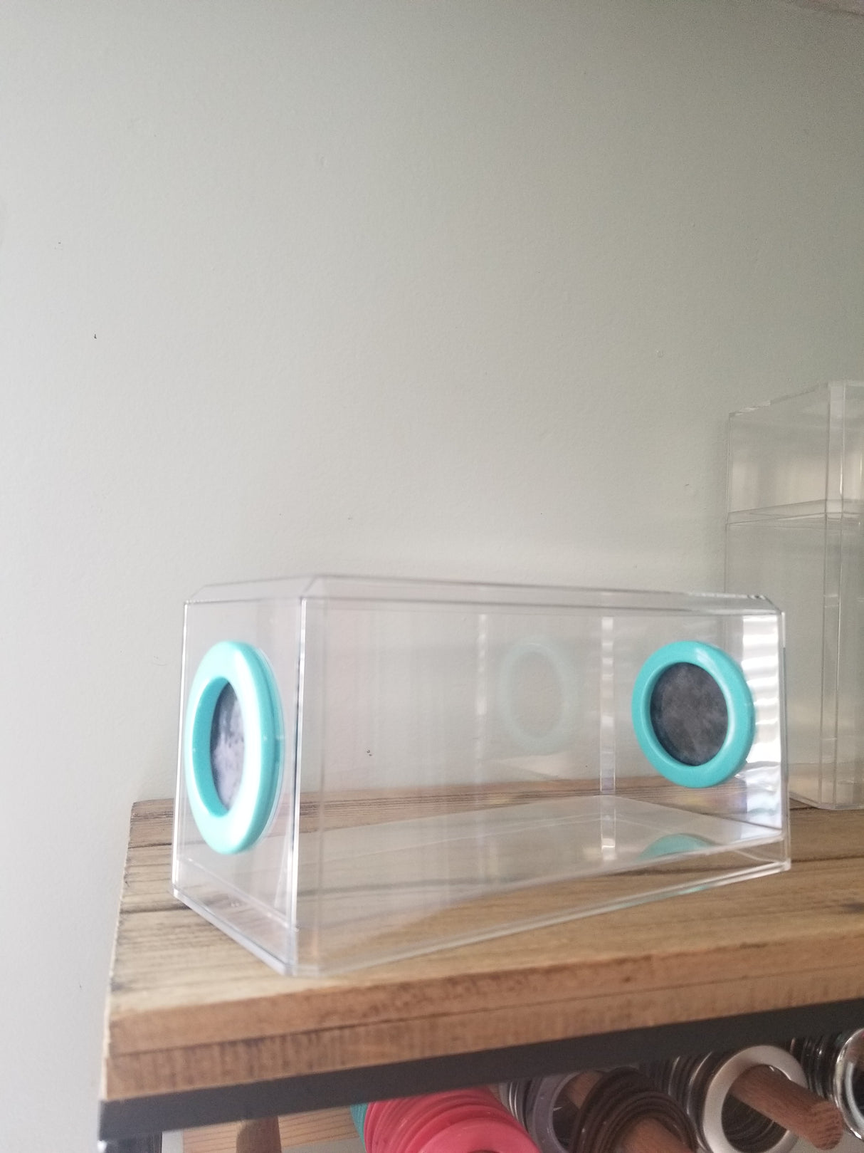 Phid Flat Sling Nursery Jumping Spider Enclosure 8.5x4x4(holds fruit flies)