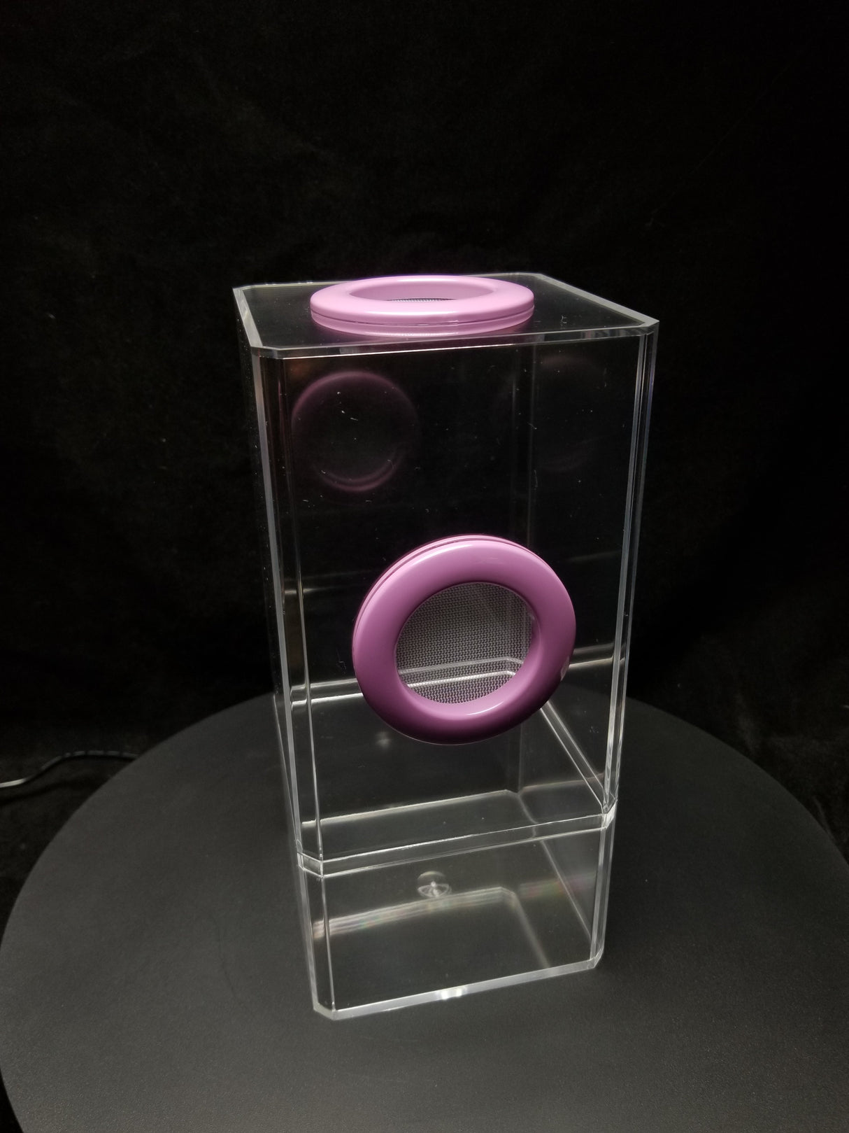 B-STOCK Flip Top Dual Vent Spider Condo Jumping Spider Enclosure (holds Fruitflies)