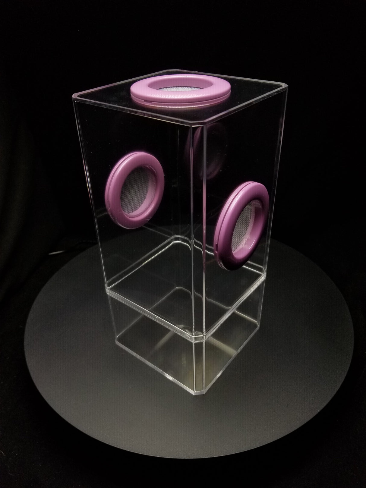 B-STOCK Flip Top Tri-Vent Spider Condo Jumping Spider Enclosure (holds Fruitflies)