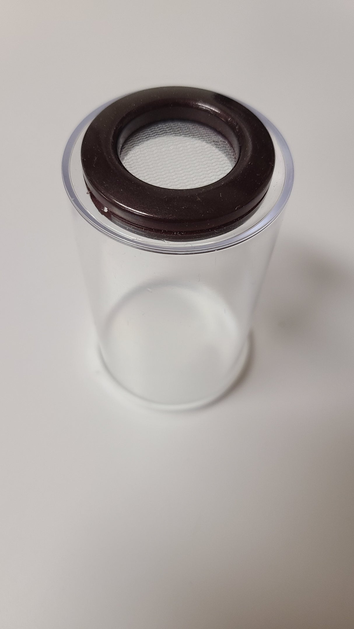 BFP Grow Cup 2x3.5" for small Jumping Spider slings (holds fruit flies)