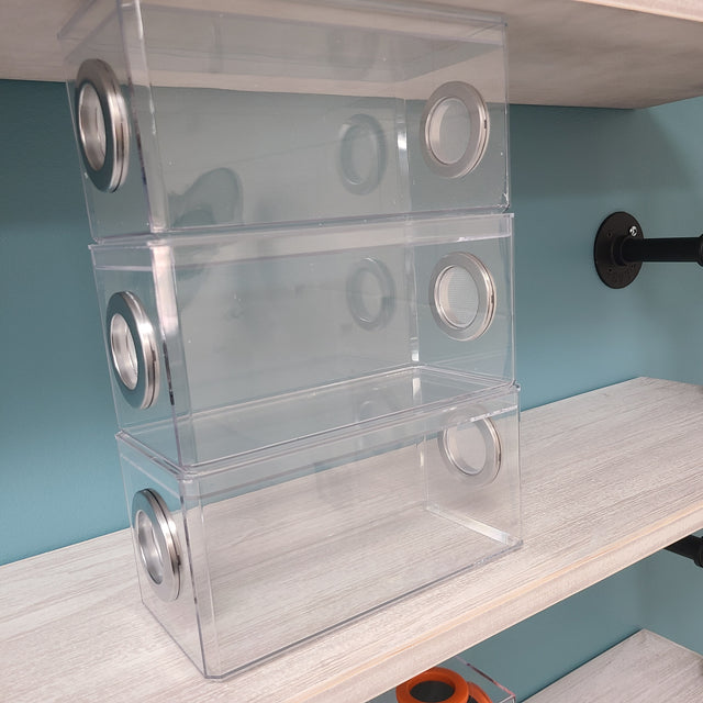 BFP Stinger Stackable Jumping Spider Sling Nursery(holds fruit flies.