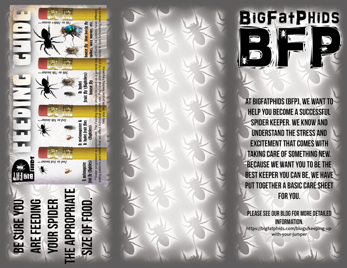 Blue Bottle Spikes 50 Pack Includes 6 Ice Brix