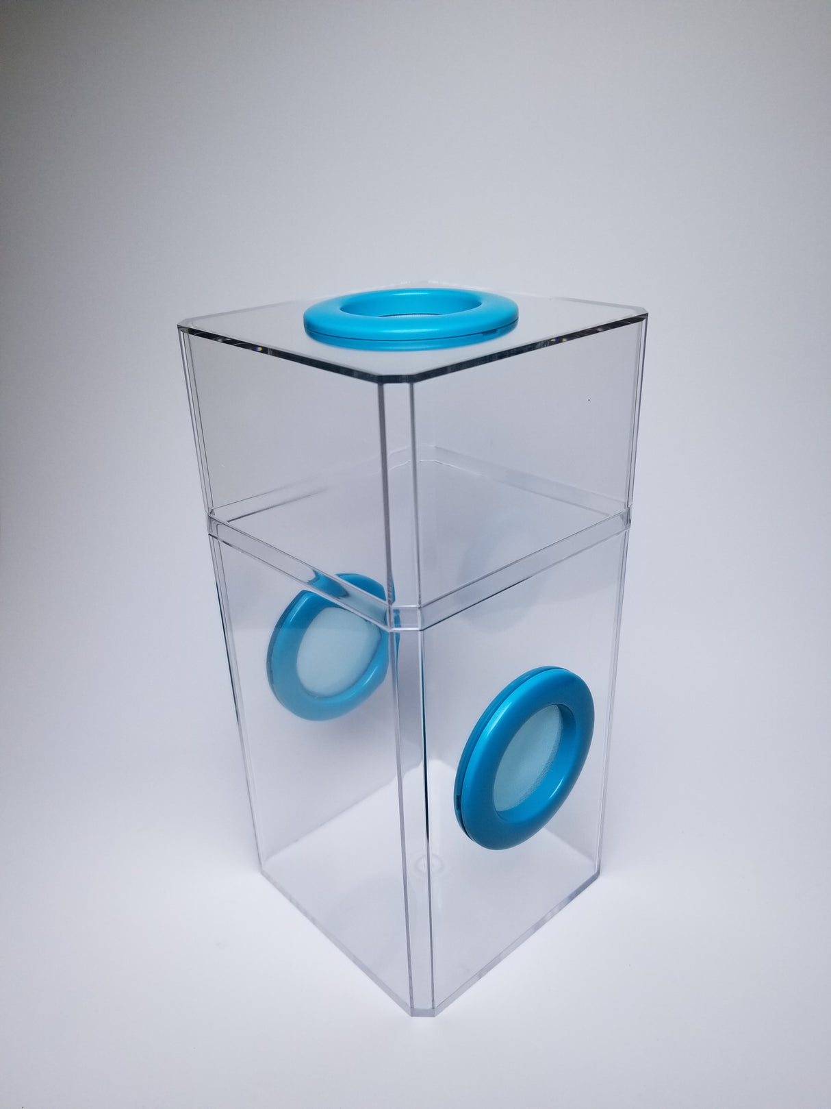 jumping spider enclosure