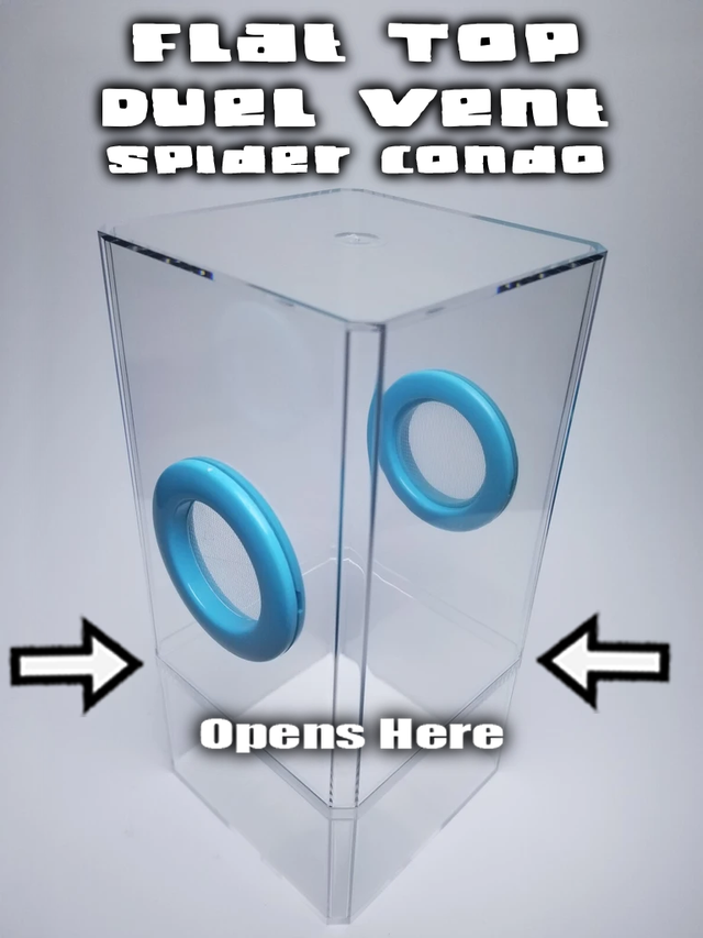 4x4x8.5 Flat-Top Dual-Vent Spider Condo Jumping Spider Enclosure (holds fruit flies) B-stock