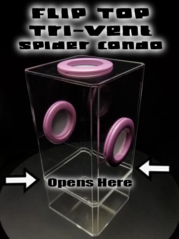 4x4x8.5 Flip-Top Tri-Vent Spider Condo Jumping Spider Enclosure (holds fruit flies) B-stock