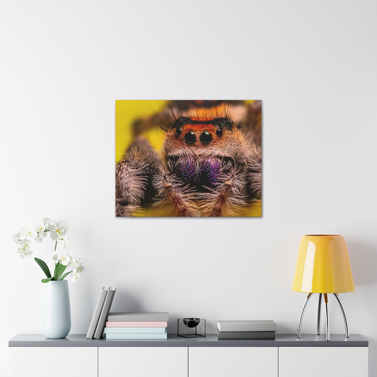 Jumping Spider Art printed on quality canvas wrap.