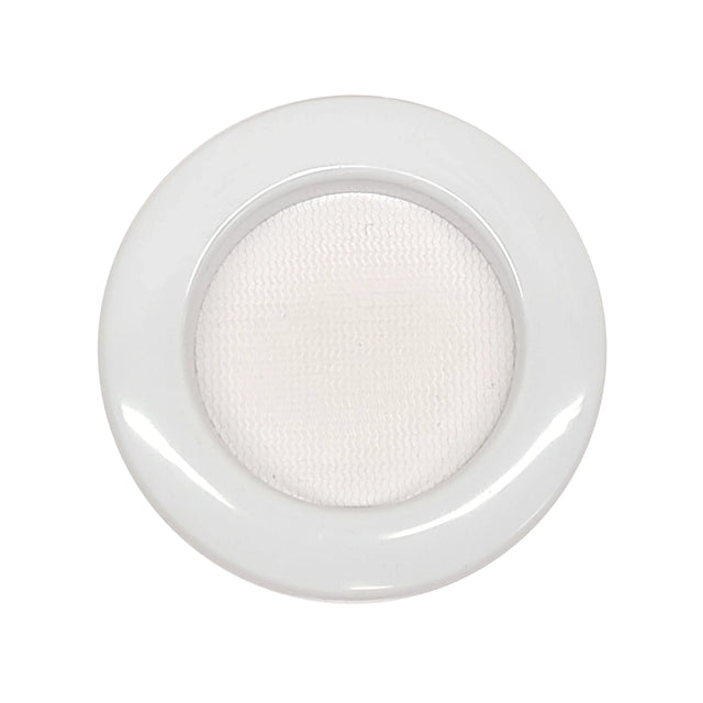 Medium Flat Top 4x4x8 Magnetic Front Opening Jumping Spider Enclosure